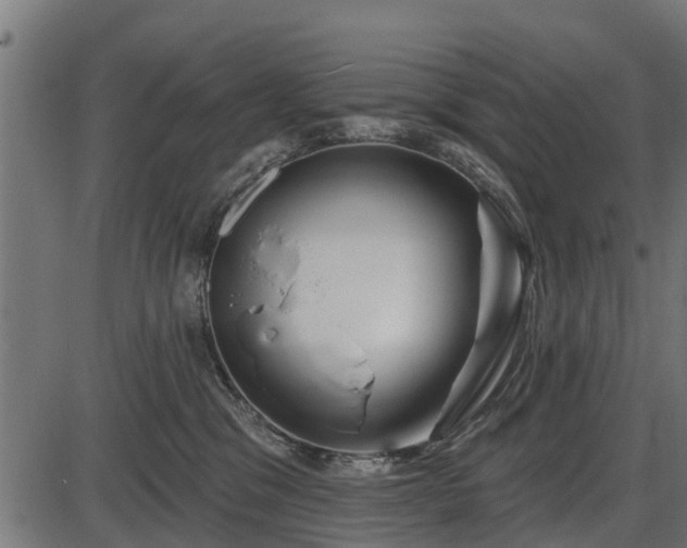 X0000086300329200704091028