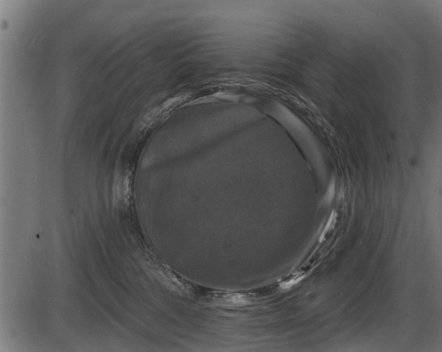 X0000086300330200704091028