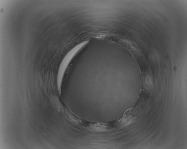 X0000086300331200704091028