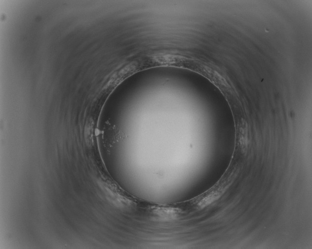 X0000086300332200704091028