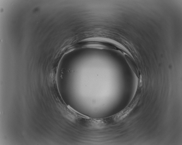 X0000086300333200704091027