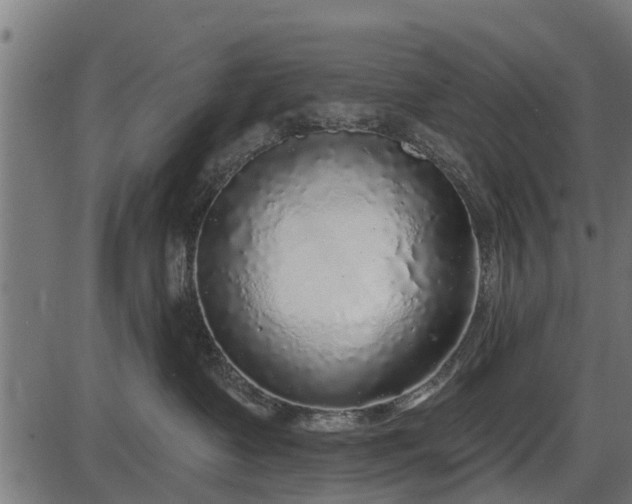 X0000086300335200704091027