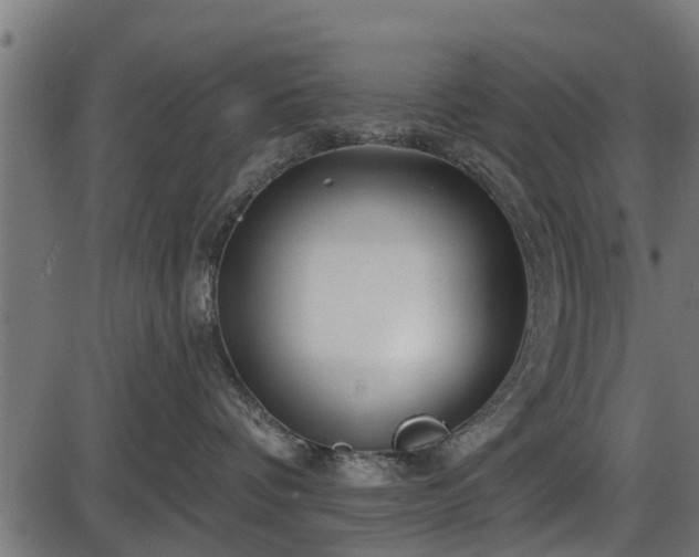 X0000086300336200704091027