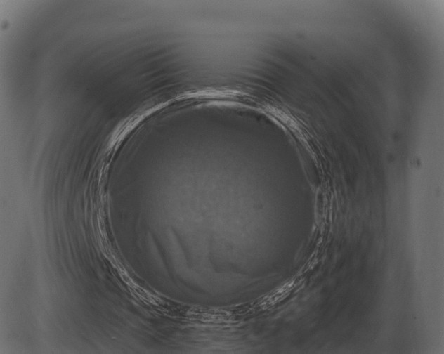 X0000086300337200704091027