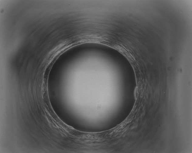 X0000086300338200704091027