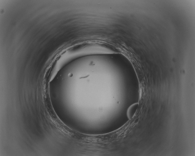 X0000086300339200704091027