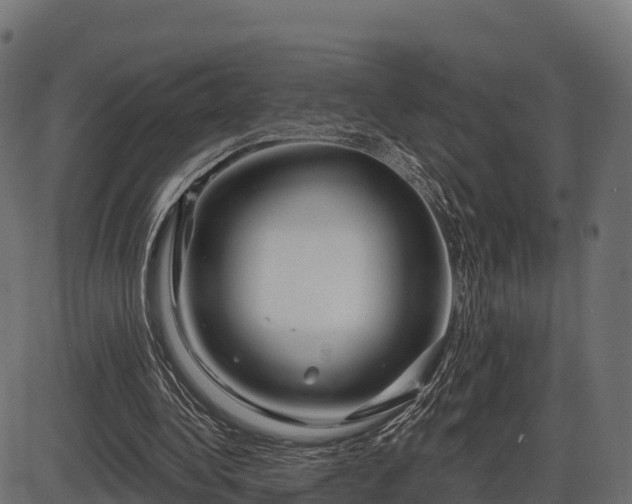 X0000086300340200704091027