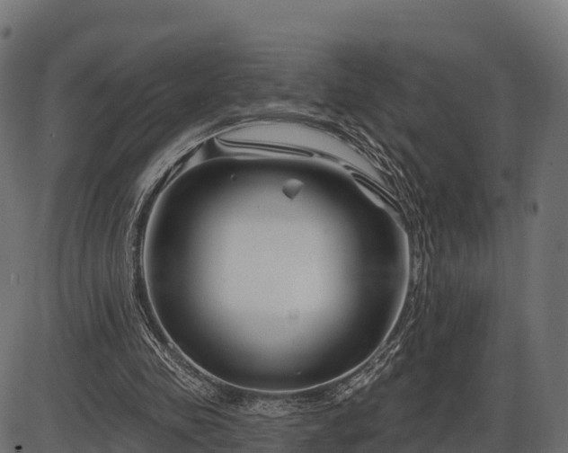 X0000086300341200704091027