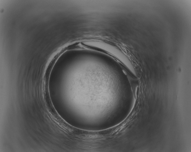 X0000086300342200704091027