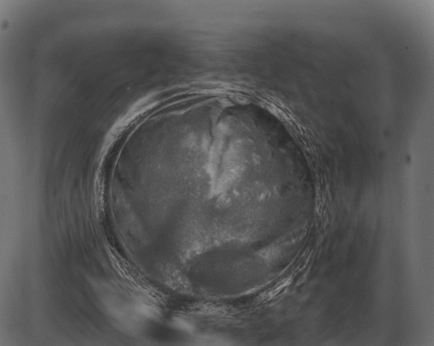 X0000086300343200704091027