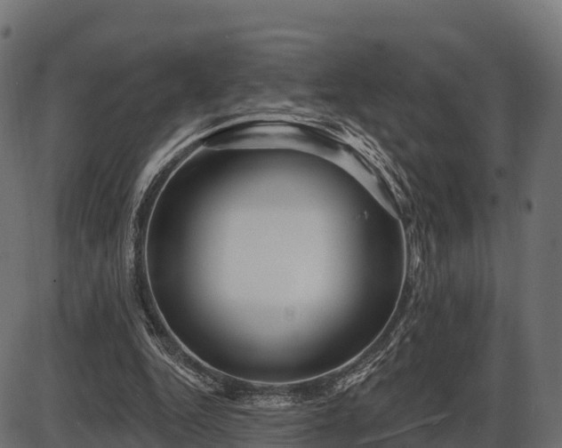 X0000086300344200704091027