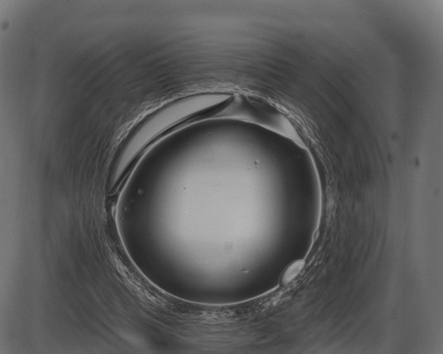 X0000086300345200704091027