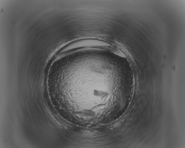 X0000086300346200704091027