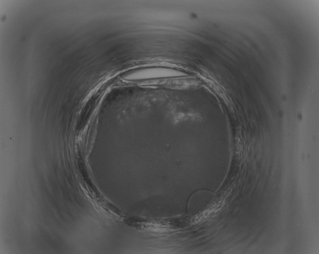 X0000086300347200704091027