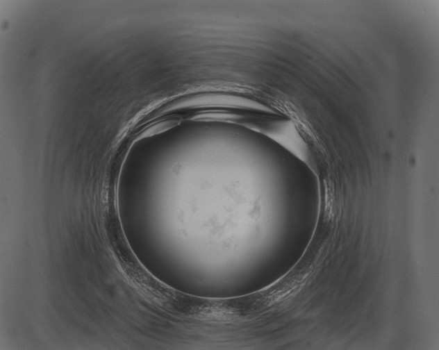 X0000086300348200704091027