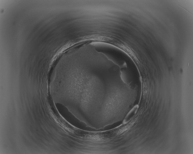 X0000086300349200704091027