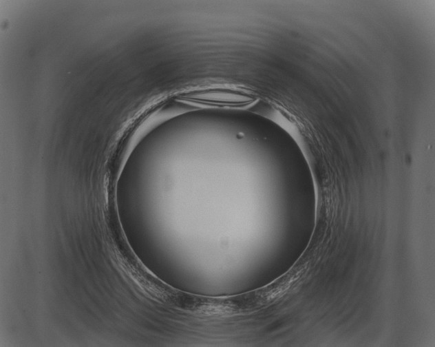 X0000086300350200704091027