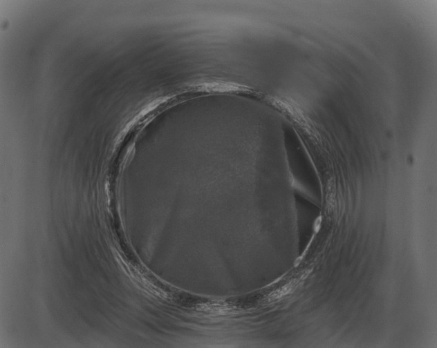 X0000086300351200704091027