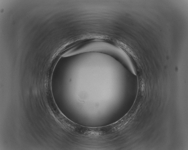 X0000086300352200704091027