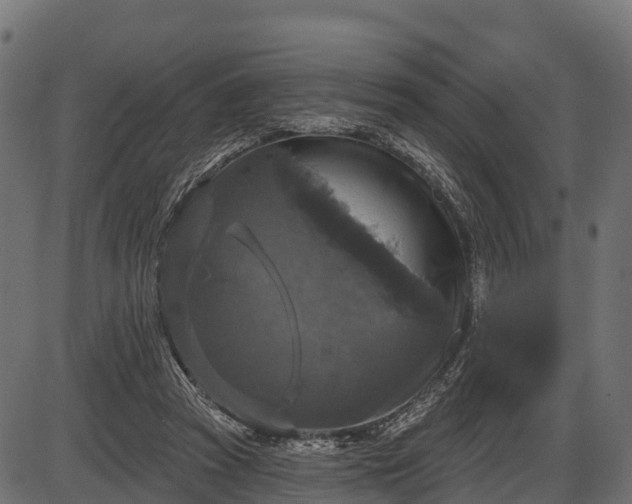 X0000086300353200704091027