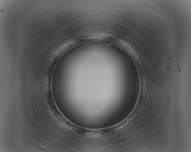 X0000086300354200704091027