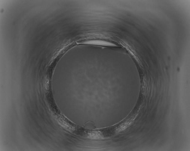 X0000086300355200704091027