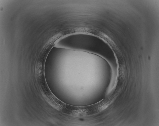 X0000086300356200704091027