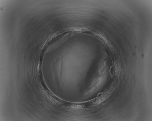 X0000086300357200704091027