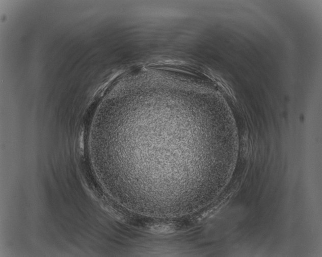 X0000086300358200704091027