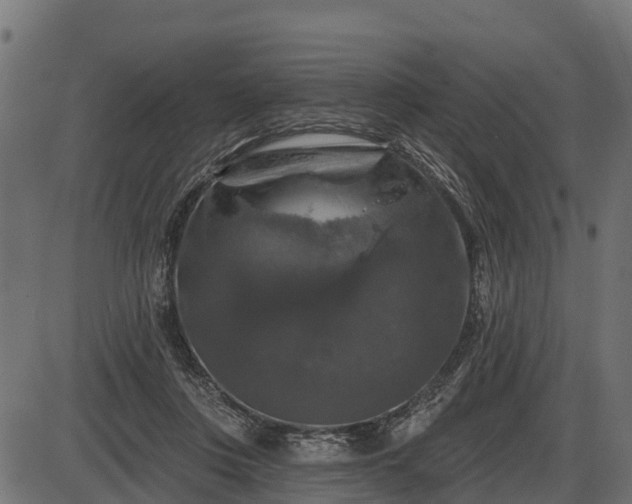 X0000086300359200704091027