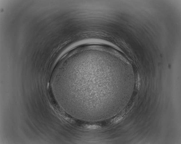 X0000086300360200704091027