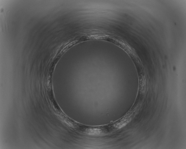 X0000086300361200704091027