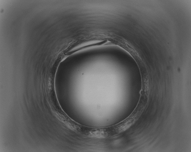 X0000086300362200704091027