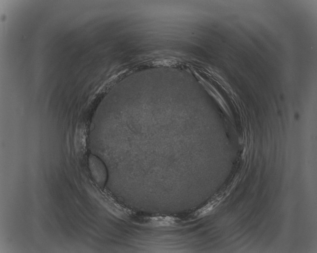 X0000086300363200704091027