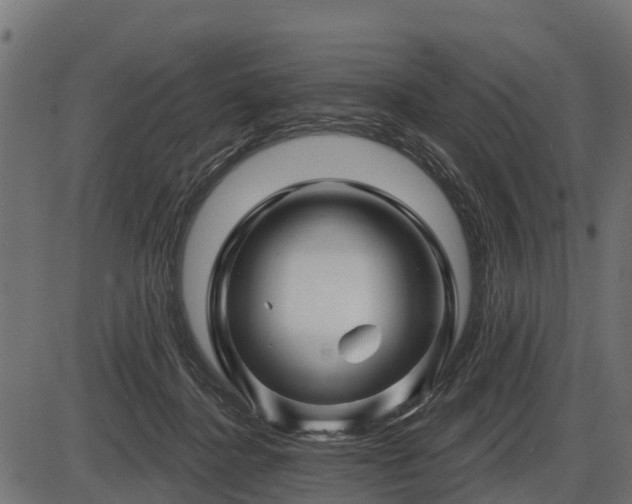 X0000086300364200704091027