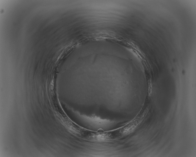 X0000086300365200704091027