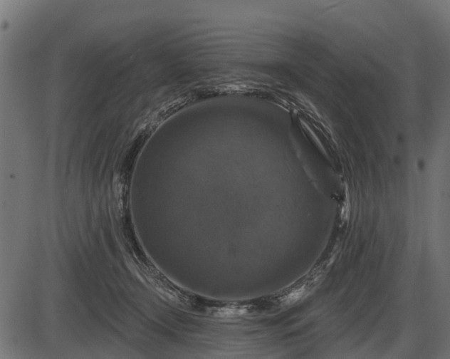 X0000086300366200704091027