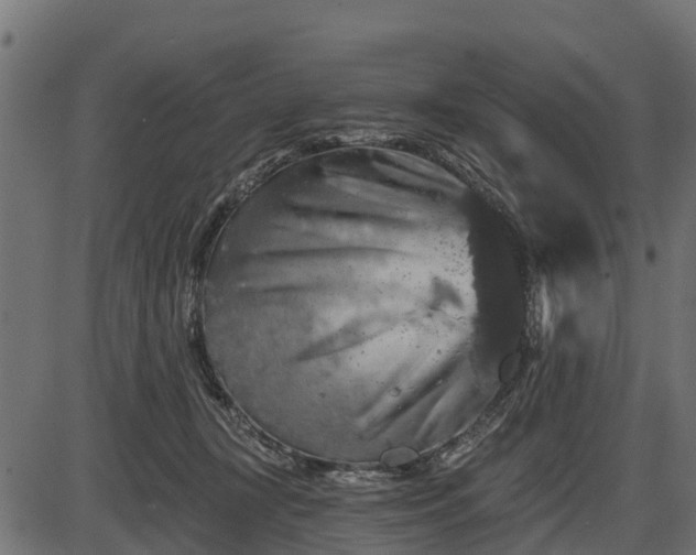 X0000086300367200704091027