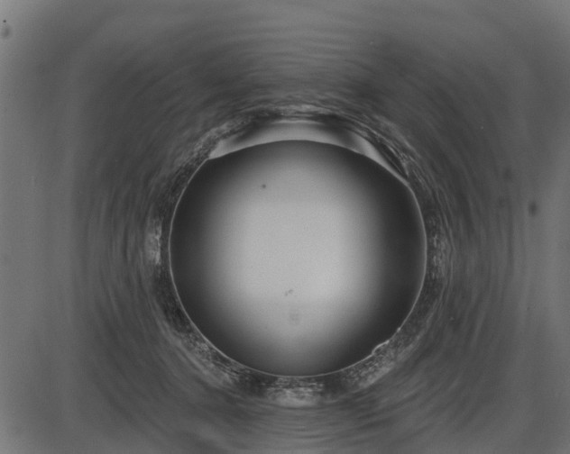 X0000086300368200704091027