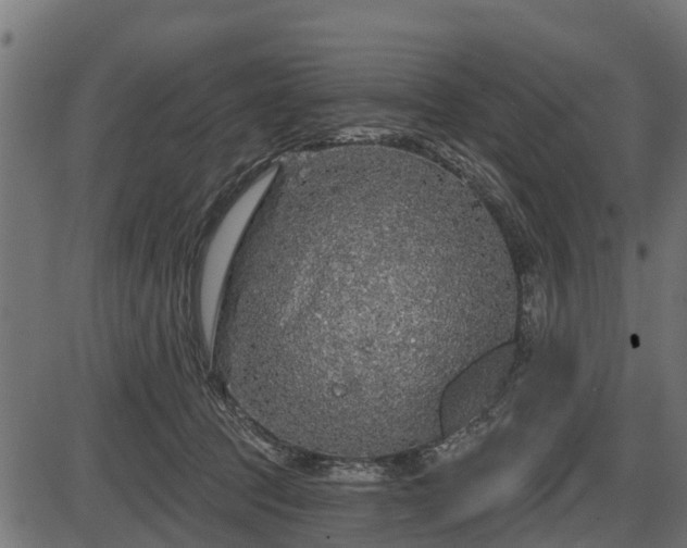 X0000086300369200704091027