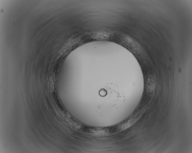 X0000086300370200704091027