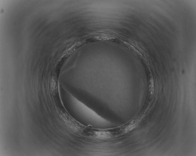 X0000086300371200704091027