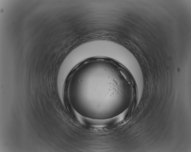 X0000086300372200704091027