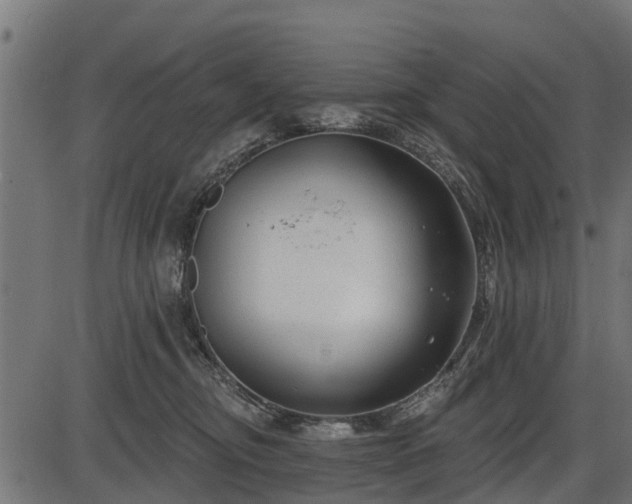 X0000086300374200704091027