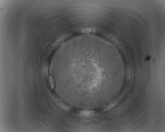 X0000086300375200704091027