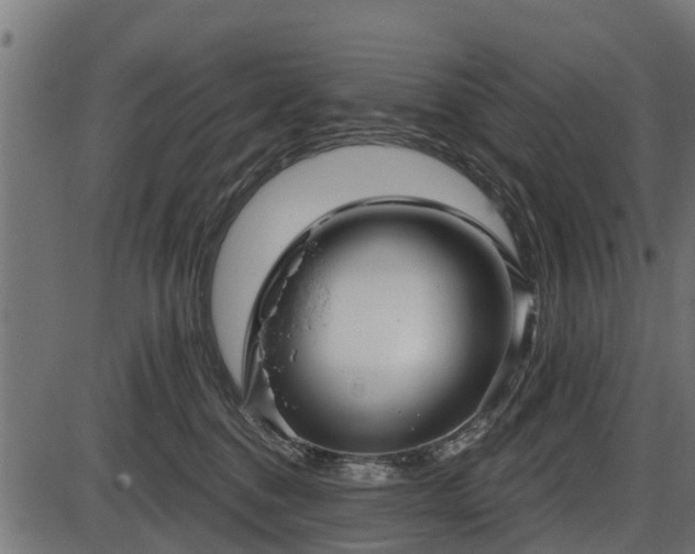 X0000086300376200704091027