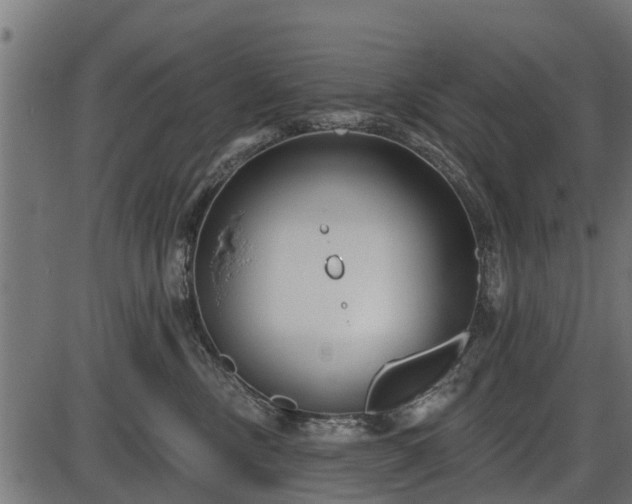 X0000086300378200704091027