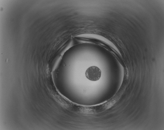 X0000086300380200704091027