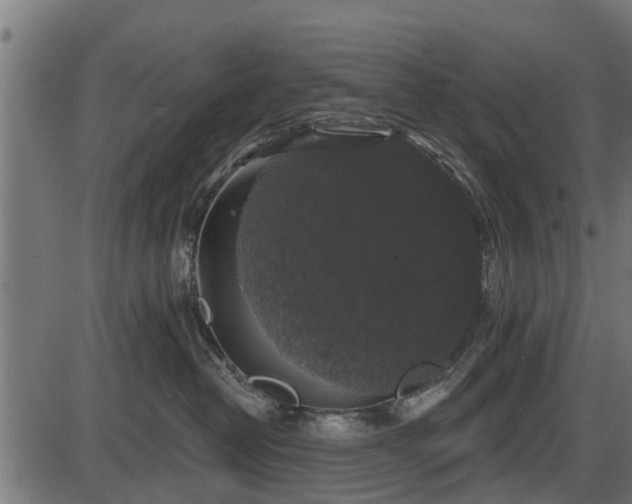 X0000086300382200704091027