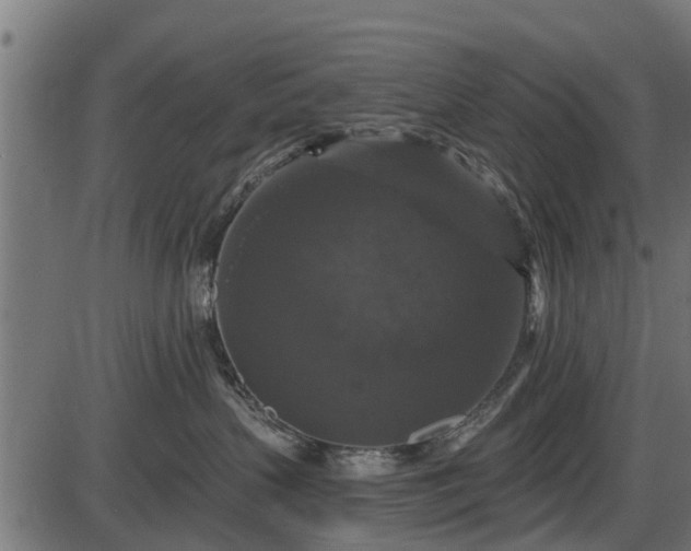 X0000086300383200704091027